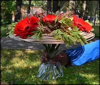 www.floristic.ru - .   