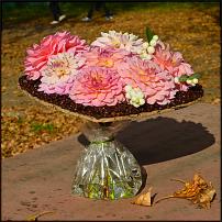 www.floristic.ru - .   