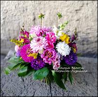 www.floristic.ru - .   1 