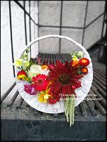 www.floristic.ru - .   1 