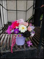 www.floristic.ru - .   1 