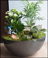 www.floristic.ru - . .   