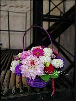 www.floristic.ru - .   1 