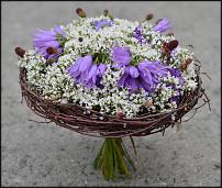 www.floristic.ru - .  