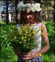 www.floristic.ru - .  