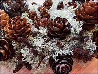 www.floristic.ru - .  ....   .