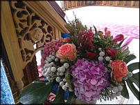 www.floristic.ru - .   .