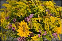 www.floristic.ru - .  