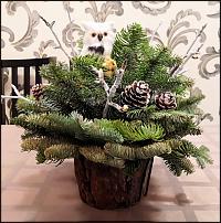 www.floristic.ru - .   -    