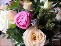 www.floristic.ru - .   .