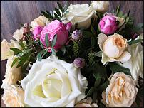 www.floristic.ru - .   .