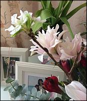 www.floristic.ru - .  