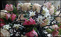 www.floristic.ru - Флористика. Использование веток