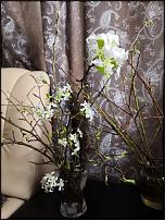 www.floristic.ru - .  