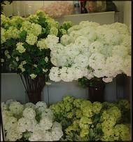 www.floristic.ru - .  , 