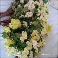 www.floristic.ru - .  , 