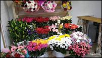 www.floristic.ru - Флористика. Магазин цветов Серпухов 75 000 руб.