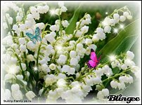 www.floristic.ru - .    !