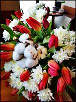 www.floristic.ru - Флористика. Молодой флорист ищет работу