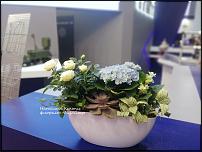 www.floristic.ru - . 