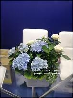 www.floristic.ru - . 