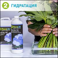 www.floristic.ru - . Flor Bazar. .   