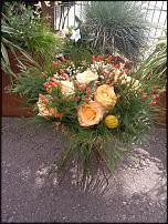 www.floristic.ru - .   