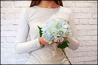 www.floristic.ru - .   , .