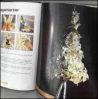 www.floristic.ru - . ,    ( used)