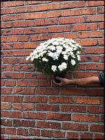     
: IMG_6643.jpg
: 42
:	259.2 
ID:	628455