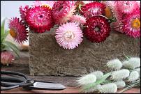 www.floristic.ru - Флористика. Оптовая продажа экологичной флористической пены (губки)