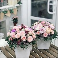 www.floristic.ru - Флористика. Ищу работу в салоне цветов