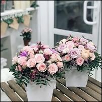 www.floristic.ru - .     