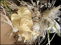 www.floristic.ru - .  -2011 -   