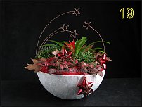 www.floristic.ru - .  -2011 -   