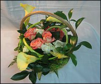 www.floristic.ru - . ,  .