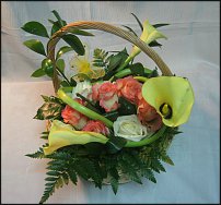 www.floristic.ru - . ,  .