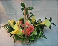 www.floristic.ru - . ,  .