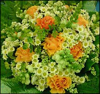 www.floristic.ru - .  