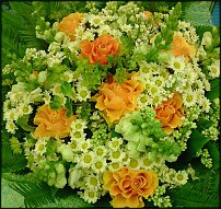 www.floristic.ru - .  