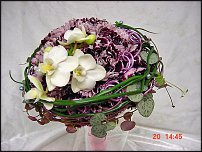 www.floristic.ru - .  