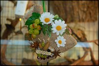 www.floristic.ru - .   .