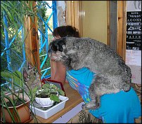 www.floristic.ru - . , !