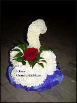 www.floristic.ru - .   ....