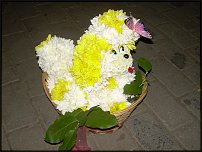 www.floristic.ru - .   ....