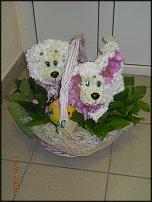 www.floristic.ru - .   ....