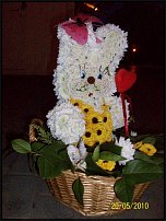 www.floristic.ru - .   ....