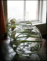 www.floristic.ru - . !!!!!