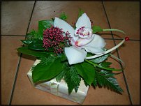 www.floristic.ru - .  