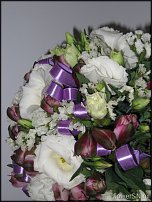 www.floristic.ru - .  .